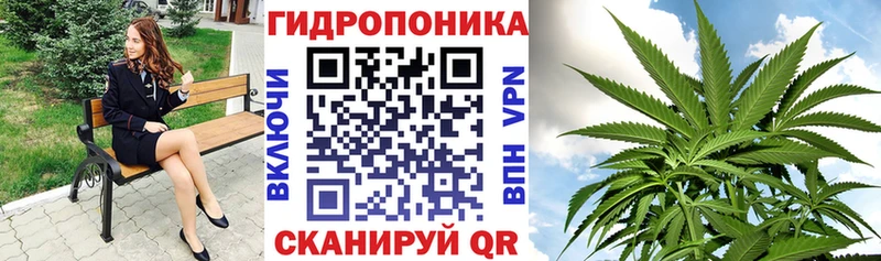 Купить где  Урус-Мартан  Марихуана ГИДРОПОН 